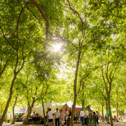 Grounded Events - Sustainable Venues