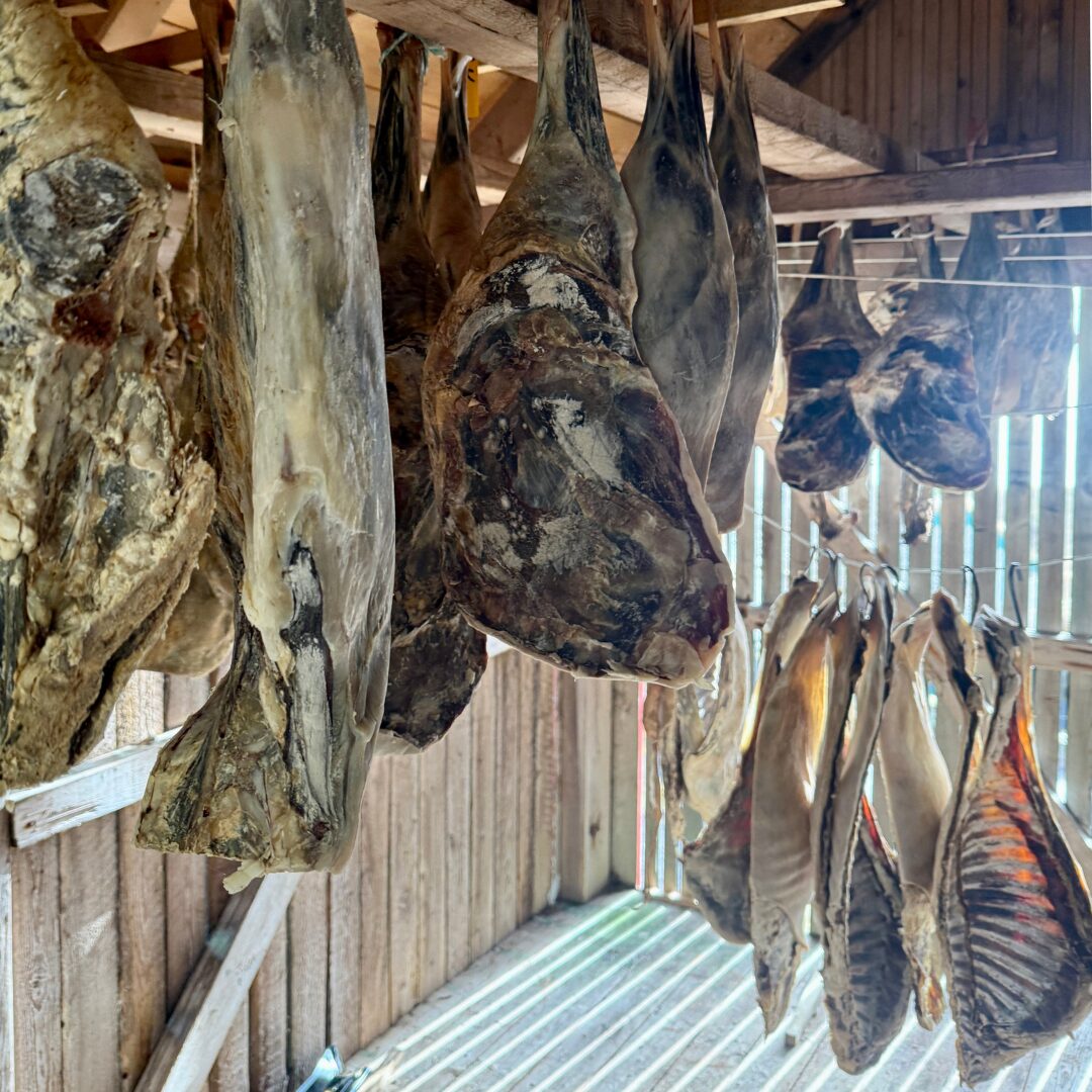 Faroe Islands fermented mutton