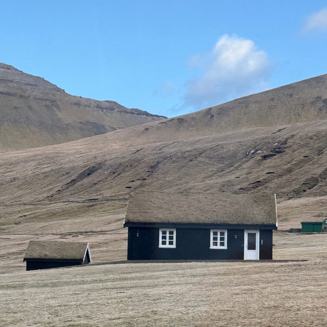 Grass Roof Faroe Islands